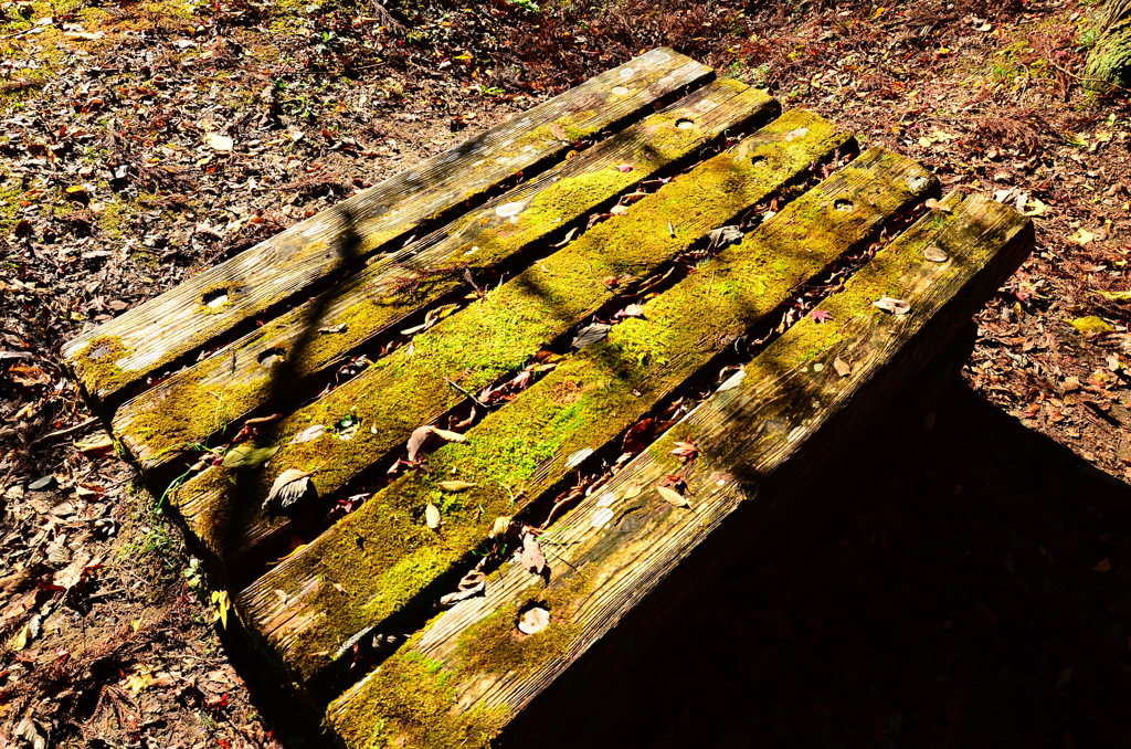 憩いのテーブル