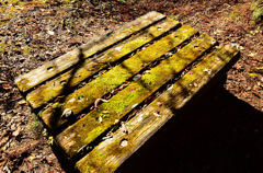 憩いのテーブル