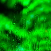 雨垂れ