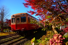 秋色電車