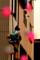 と・・・盗賊!?