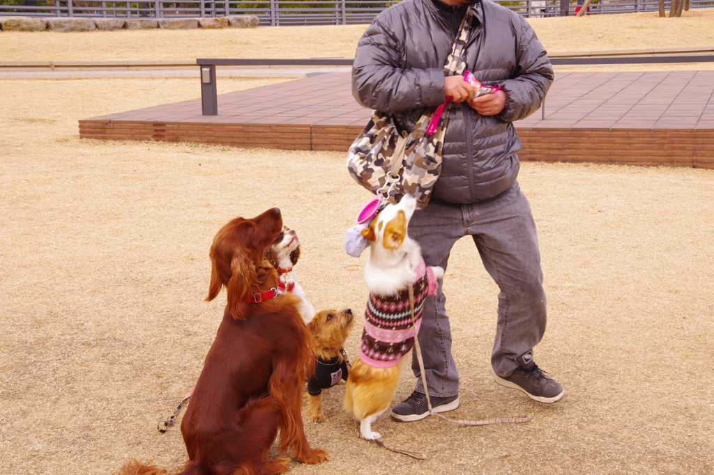 くいもんもらえるかな