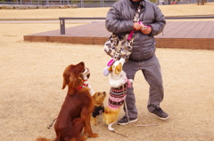 くいもんもらえるかな