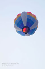  Balloon Festival