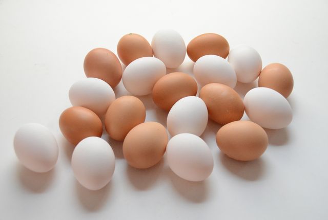 tamago