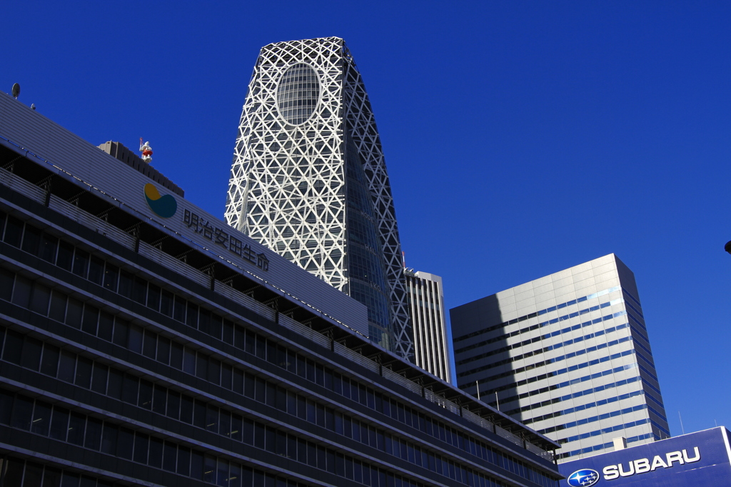 順光で