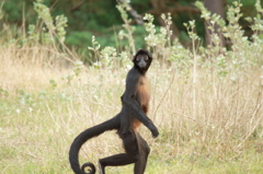 えっなんすか？