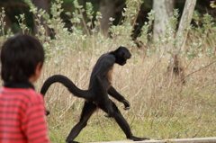 あーあ、しょぼん