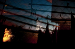 目覚めの夕方