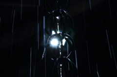 雨に打たれて
