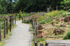 百合が原公園