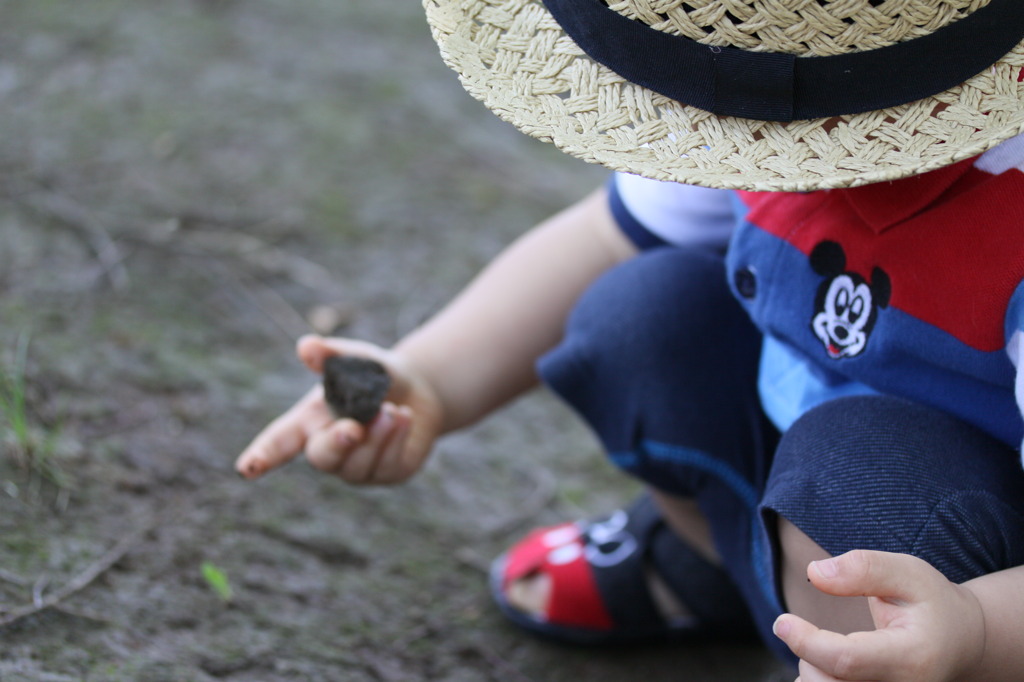 ちいさな宝石☆