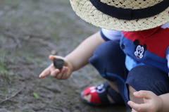 ちいさな宝石☆