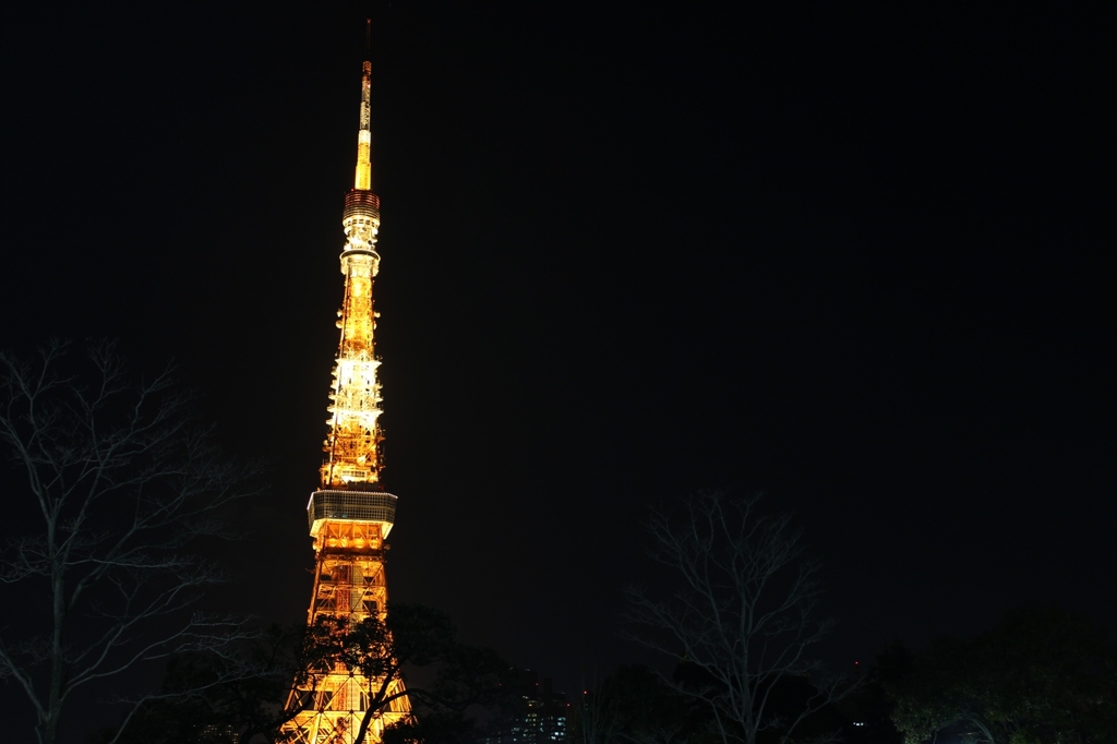 tokyotower02