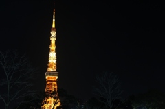 tokyotower02