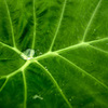 DSC00540
