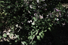 R0011114