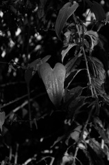 DSC00200b