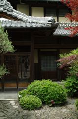 セルフポートレート