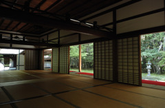 高桐院　院内