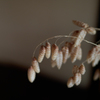 P1060125