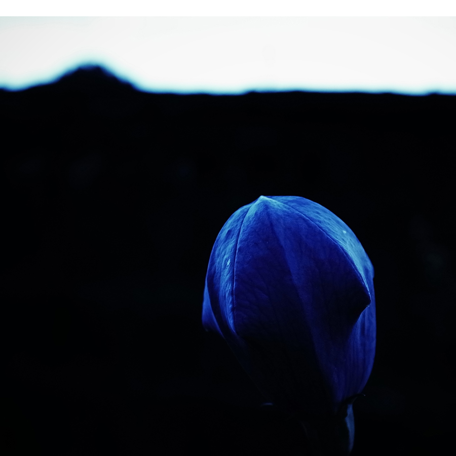 R0010324