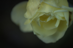 DSC_1472