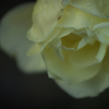 DSC_1472