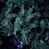 IMG-0011793