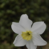 P1000721