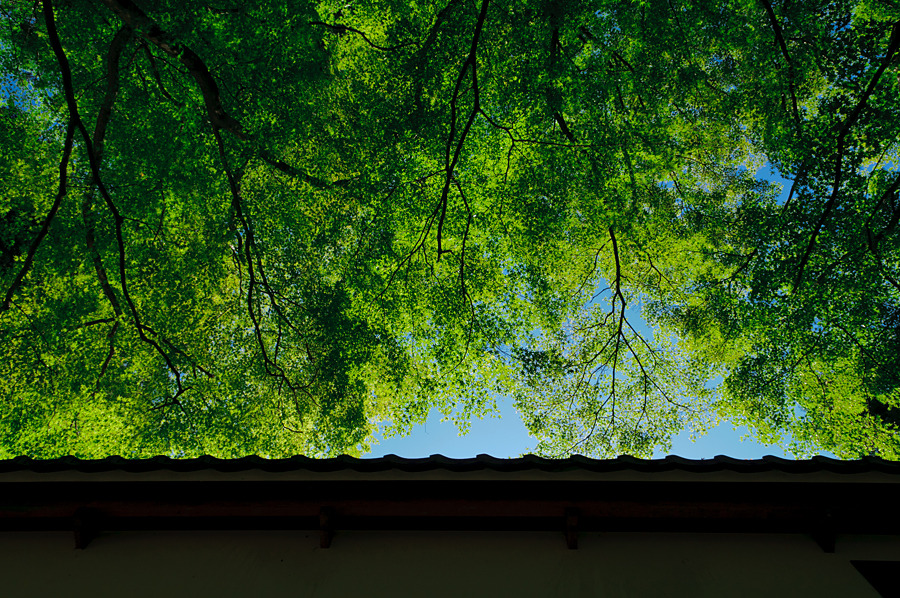 両界山 横蔵寺