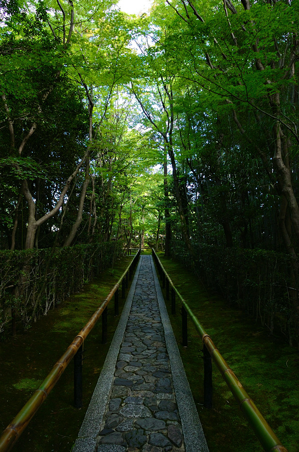 高桐院１