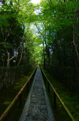 高桐院１