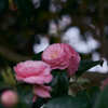 untitled３