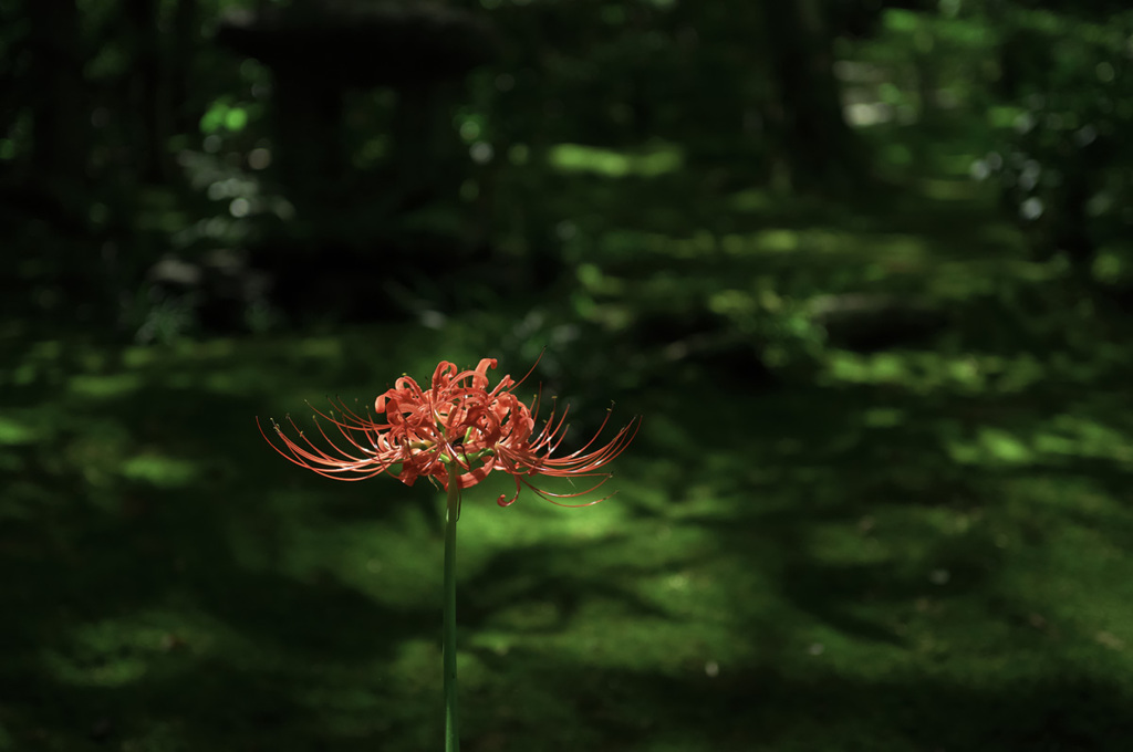R0011601