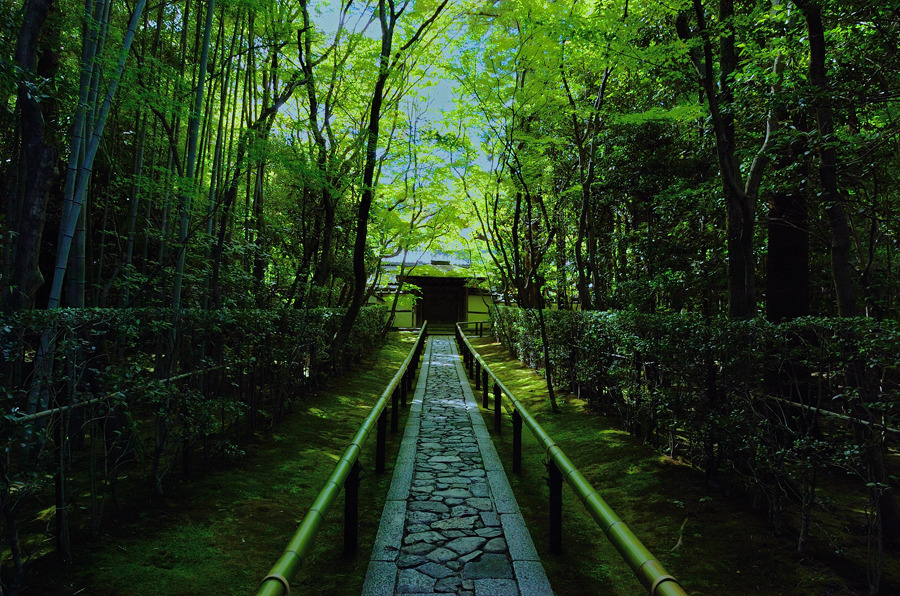 高桐院２
