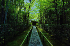 高桐院２