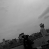R003692