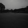 R0012463