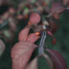 R0012303