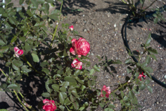 L1050724