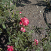 L1050724
