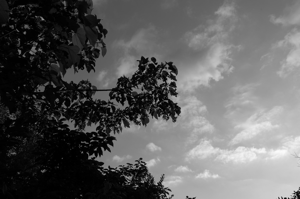 L1000489B