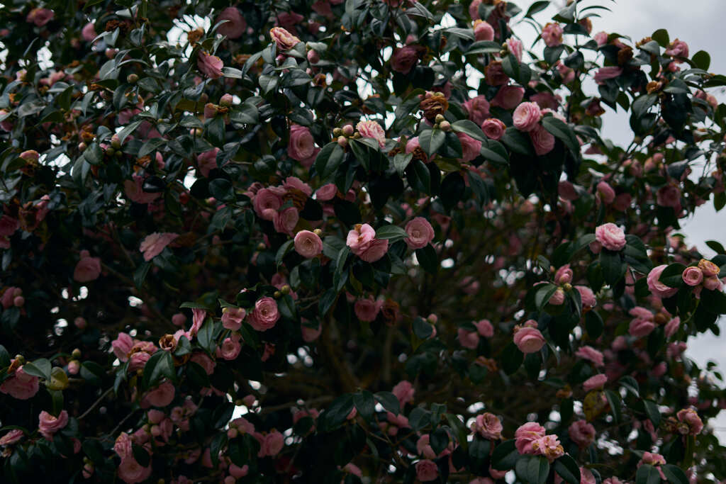 untitled２
