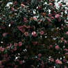 untitled２
