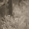 IMG-1052047