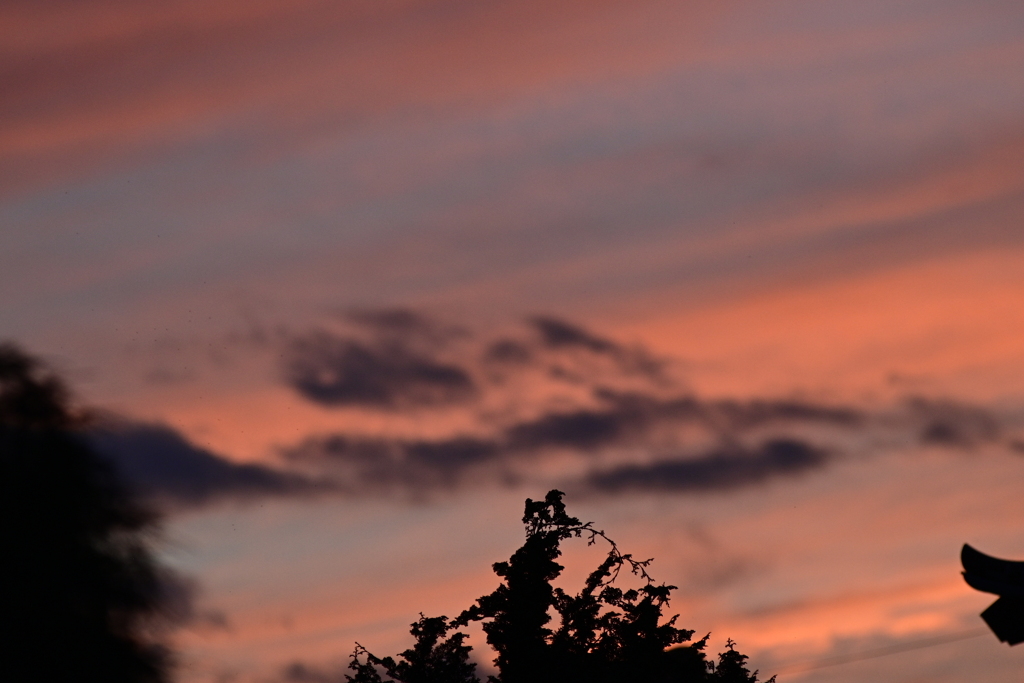 夕暮れ