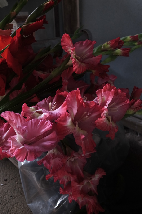 R0010081