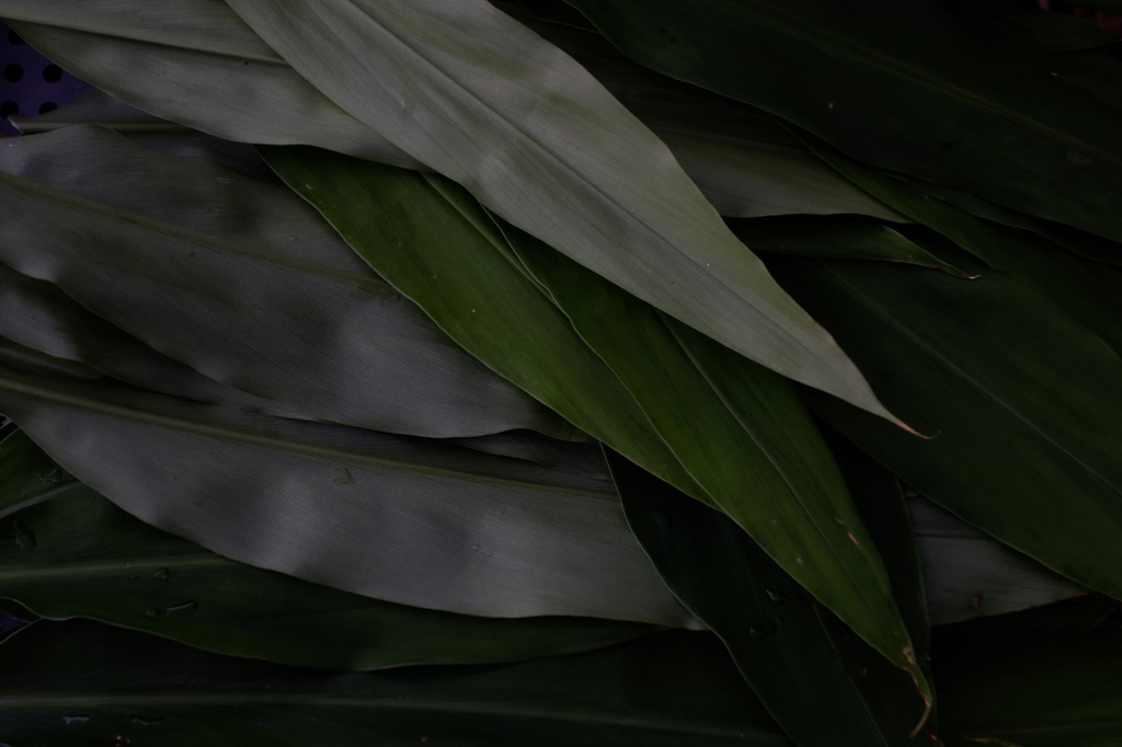 DSC00193