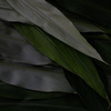 DSC00193